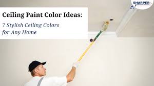 Ceiling Paint Color Ideas 7 Stylish