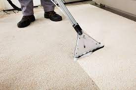 professional carpet cleaning in palo