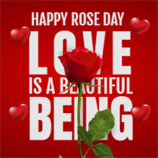 edit happy rose day 2024 greeting