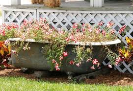 Container Garden Out Of A Bathtub