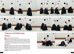 Mostly aikido is a passive art form so you have a defensive stance. An Introduction To Aikido Mastering The Basics Through Proper Training English Translation Of Aikido Book Books Amazon Ae