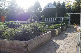 The New Vegetable Garden Plan The