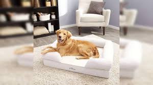 dog bed best dog bed for maximum