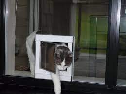 Sliding Glass Dog Door Dog Door Pet Doors