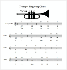 Trumpet Fingering Chart Pdf Cycling Studio