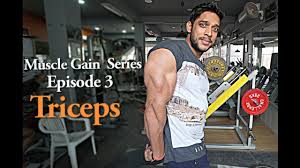 big triceps workout muscle gain series ep 3 rahul fitness