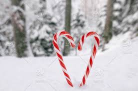 Image result for winter holiday cheer image