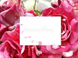 Idee e consigli per scegliere i fiori per compleanno più adatti a seconda delle occasioni. 3 031 Buon Compleanno Floreale Foto Foto Stock Gratis E Royalty Free Da Dreamstime