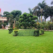top plant nurseries in delhi best