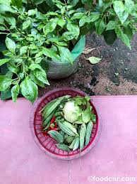 Amma S Home Garden In Sri Lanka Let S