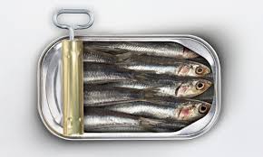 Imagini pentru sardine