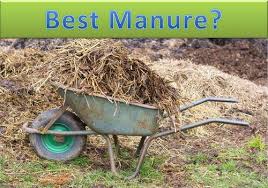 what is the best manure for your garden