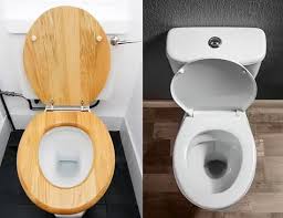 Wood Or Plastic Toilet Seat Homelycounsel