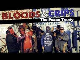 bloods crips the peace treaty you