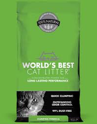 Quick Clumping Cat Litter Best Litter For Your Messy Cat
