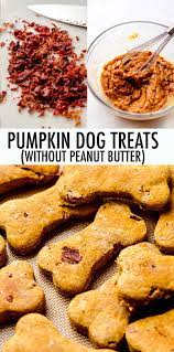 homemade pumpkin dog treats no peanut