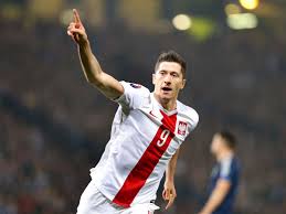 Lewandowski celebration wallpaper 67721 browse through the blog and enjoy the images, file type: Robert Lewandowski Reported To Police After Drinking On The Pitch During Poland S Euro 2016 Celebrations Mirror Online