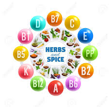Vitamins And Minerals In Fresh Herbs And Spices Vector Round