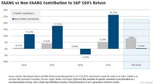 The s&p 500 index is a basket of 500 large us stocks, weighted by market cap, and is the most widely followed index representing the us stock market. Faang Stocks Dominating S P 500 S Return Bmo Global Asset Management
