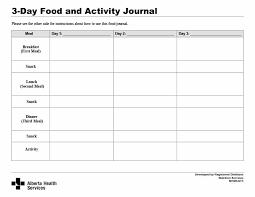 Sample Food Diary Template Sample Templates
