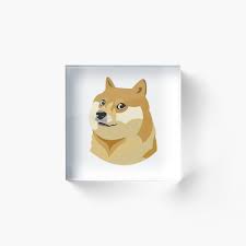 The biggest subreddit dedicated to providing you with the meme templates you're looking for. Doge Meme High Quality Vector Doge Meme Wow Much Vectors Very Clear Doge Art Board Print By Dzsergio Redbubble