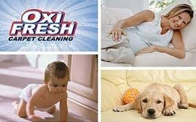 oxi fresh of columbia carpet cleaning