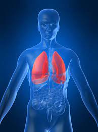 Cancer du poumon - Symptômes, diagnostic & traitement | Roche