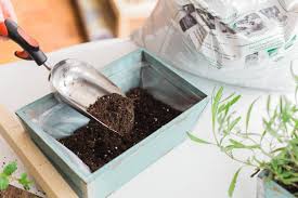 How To Plant A Mini Herb Garden
