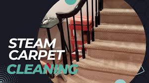 top rated carpet cleaning springfield nj
