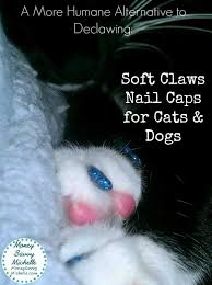 soft claws review a more humane