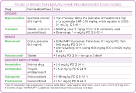 Focus On Pharmacology Management Of Chronic Pain In Cats