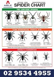 Able Spider Chart Able Pest Control
