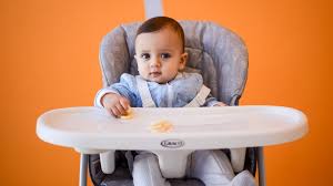 the 6 best high chairs tested by gearlab