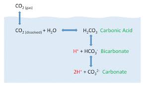 5 5 dissolved gases carbon dioxide ph