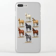 Horse Common Solid Coat Colors Chart Clear Iphone Case