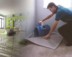 steam n dry mould removal auckland service