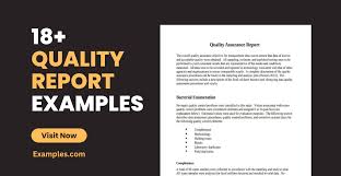 quality report 18 examples format