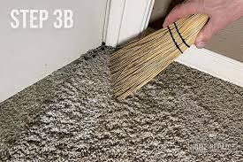 getting cat urine out of carpet and pad