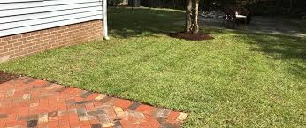 Full Service Lawn Maintenance Package