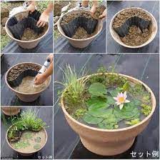 Create A Mini Garden Pond Pictures