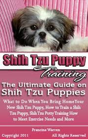 We all know that a shitzu puppy is a very active dog and it burns its calories quite so fast. Shih Tzu Puppy Training The Ultimate Guide On Shih Tzu Puppies What To Do When You