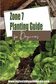 Zone 7 Planting Schedule For Beginners