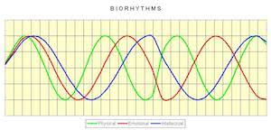 Biorhythms Definition History Calculation Study Com