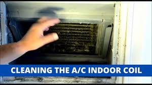 Once you're inside, use your hands to clear out large debris, like leaves, twigs, and insects. Indoor Coil Cleaning Youtube