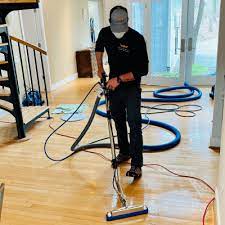 best carpet cleaning company raleigh
