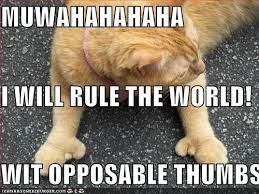 if cats and dogs had opposable thumbs day