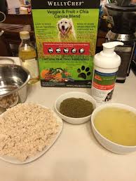 own dog food at home with wellytails