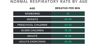 normal respiratory rate why you