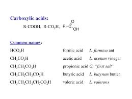 Ppt Carboxylic Acids R Cooh R Co 2