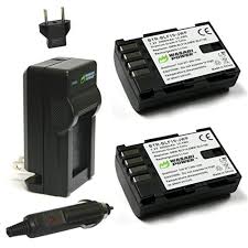 Wasabi Power Battery 2 Pack And Charger For Panasonic Dmw